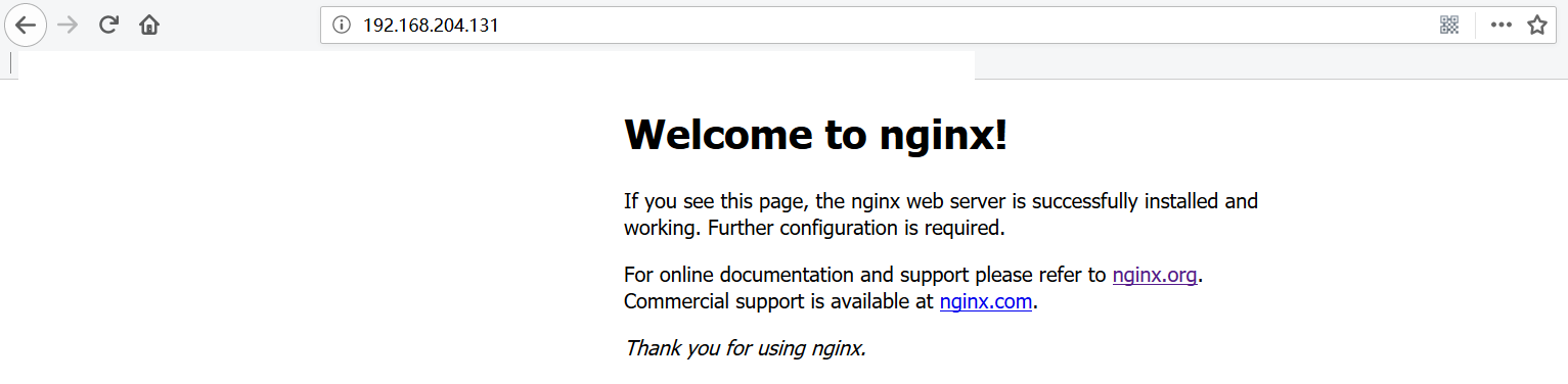 nginx-startup.png